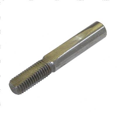 Picture of Bolt