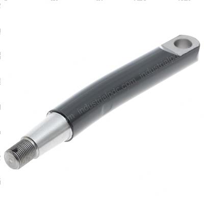 Picture of Arm