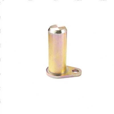 Picture of Pin