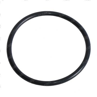Picture of O-Ring