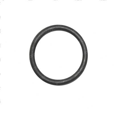 Picture of O-Ring