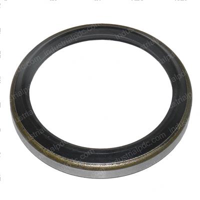 Picture of Ring - Dust