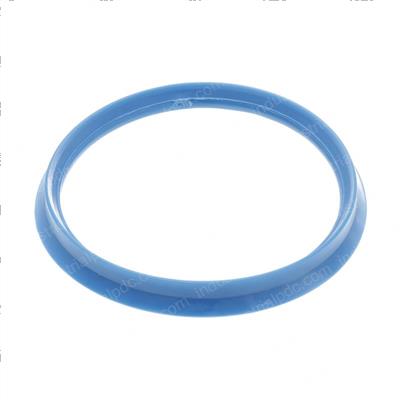 Picture of Seal - General