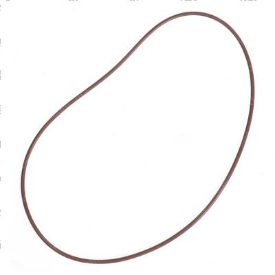 Picture of O-Ring