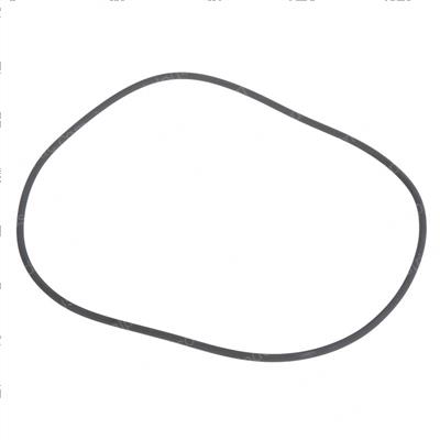 Picture of O-Ring