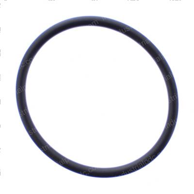 Picture of O-Ring