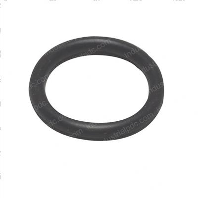 Picture of O-Ring