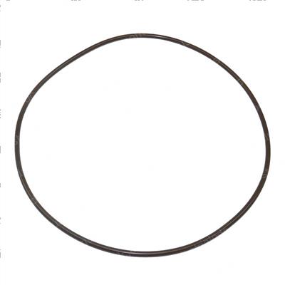 Picture of O-Ring