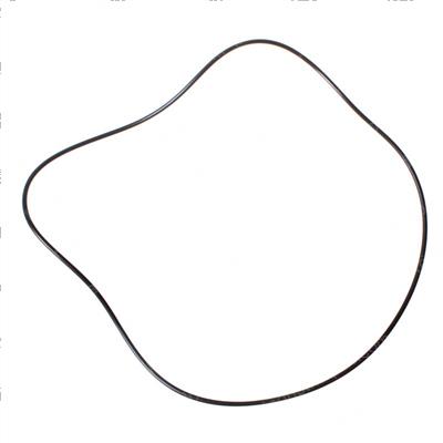 Picture of O-Ring