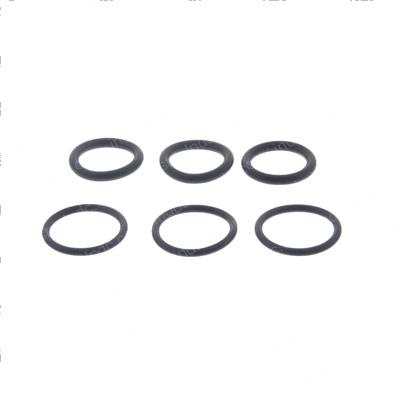 Picture of Seal Ring Kit