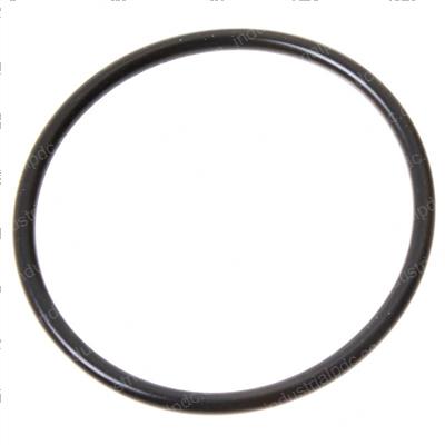 Picture of O-Ring