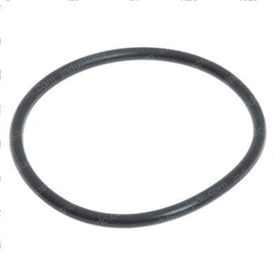 Picture of O-Ring