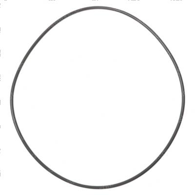 Picture of O-Ring
