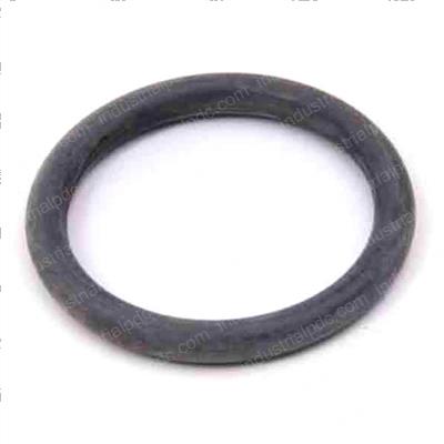 Picture of O-Ring