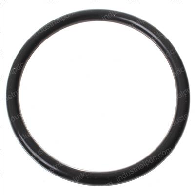 Picture of O-Ring