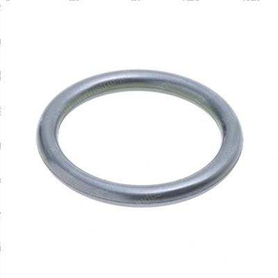 Picture of O-Ring