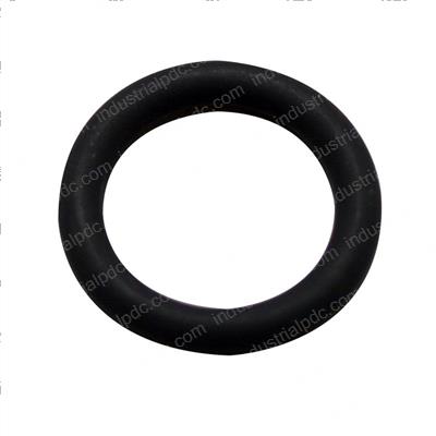 Picture of O-Ring