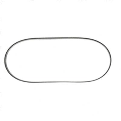 Picture of Belt - Serpentine