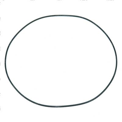 Picture of O-Ring