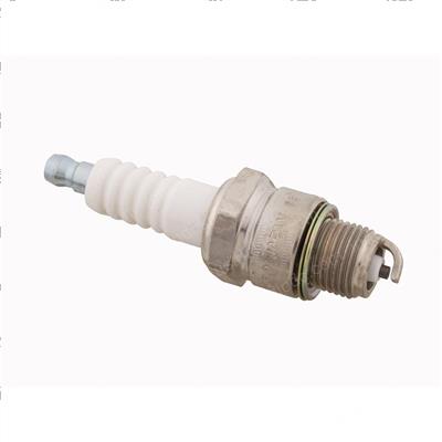 Picture of Plug - Spark