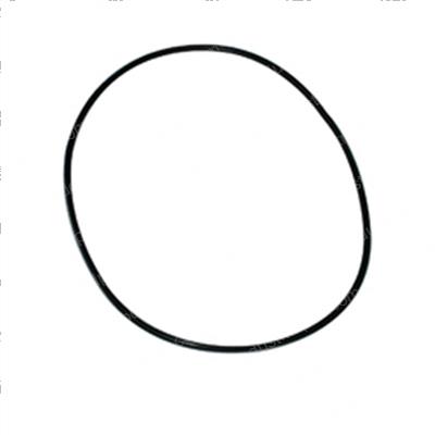 Picture of O-Ring