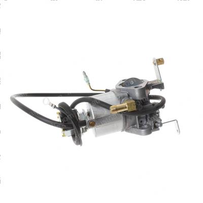 Picture of Carburetor Assembly