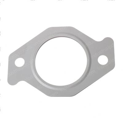 Picture of Gasket