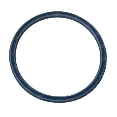 Picture of Seal