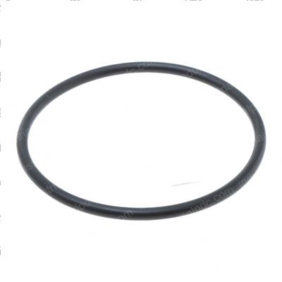 Picture of O-Ring