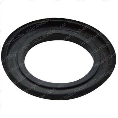 Picture of Seal - Dust