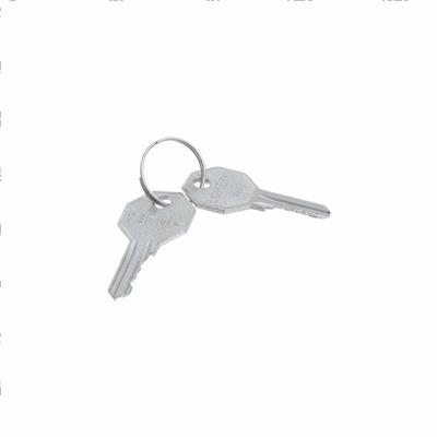 Picture of Spare Key for Elec-073e Key Swi