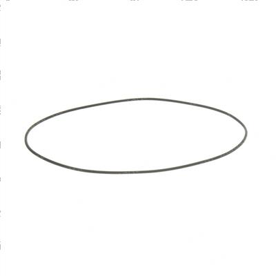 Picture of O-Ring