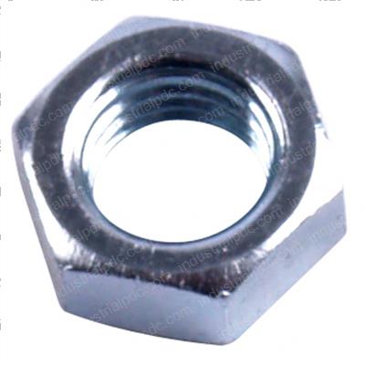 Picture of Nut