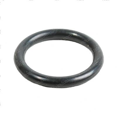 Picture of O-Ring