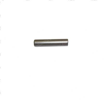 Picture of Pin - Chain Anchor