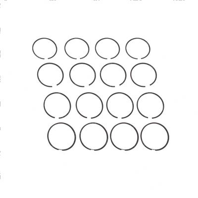 Picture of Ring Set - (.040)