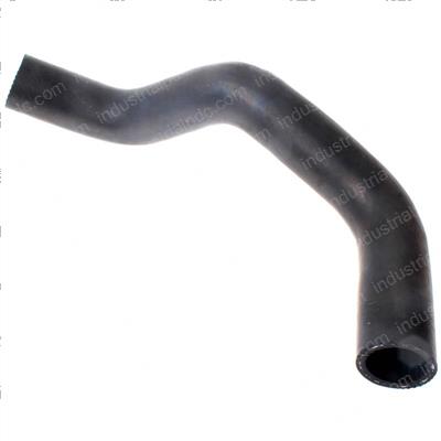 Picture of Lower Hose