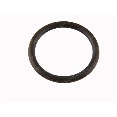 Picture of O-Ring