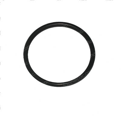 Picture of O-Ring