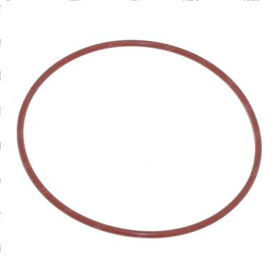 Picture of O-Ring
