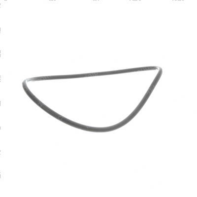 Picture of O-Ring