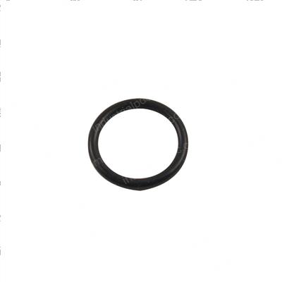Picture of O-Ring