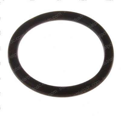 Picture of O-Ring