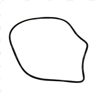 Picture of O-Ring