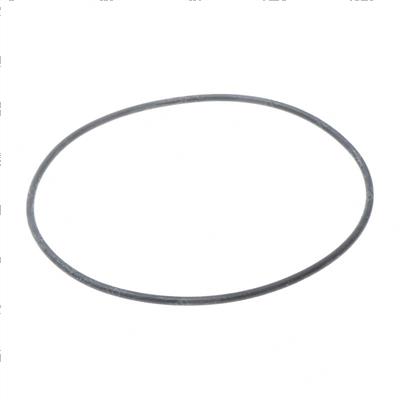 Picture of O-Ring