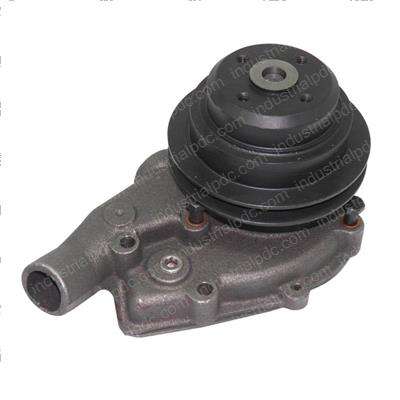 Picture of Pump Assembly - Water