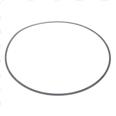 Picture of Ring-Outer Pist