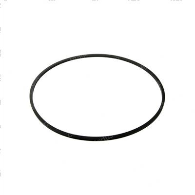 Picture of Seal