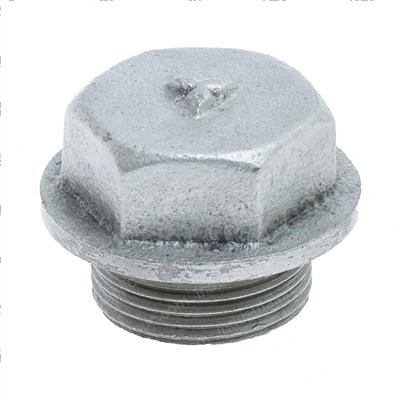 Picture of Plug S