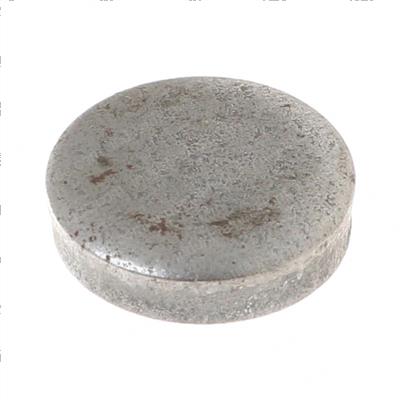 Picture of Plug - Expansion